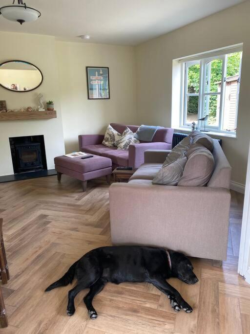 Lovely Quiet Cottage Sleeps 4 Adults, 4 Children, Dog Friendly Cley next the Sea Ngoại thất bức ảnh